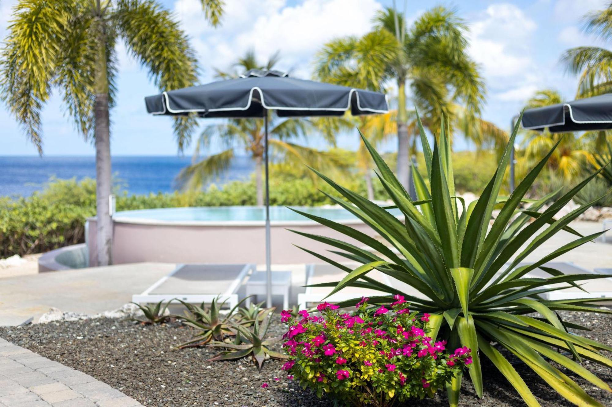 Coral Estate Luxury Resort Willibrordus Ngoại thất bức ảnh